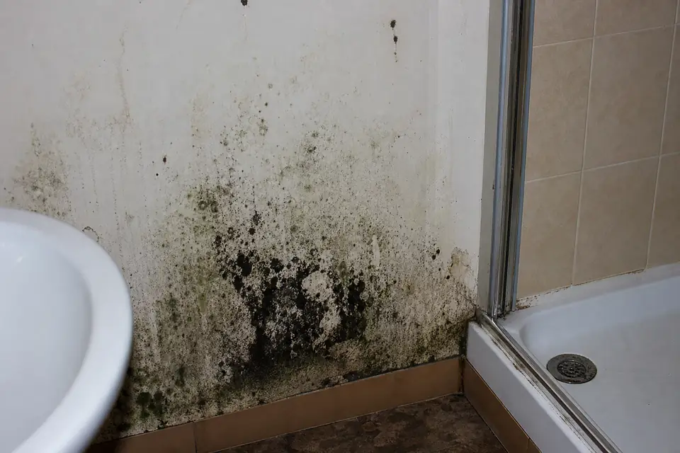 Before: Visible mold