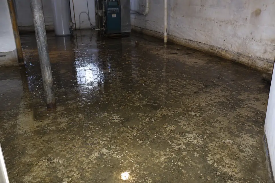 Before: Contamination